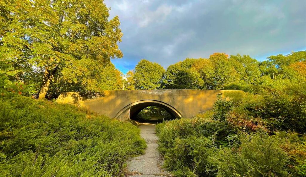 Professional Spray Foam Insulation in Alpine, NJ